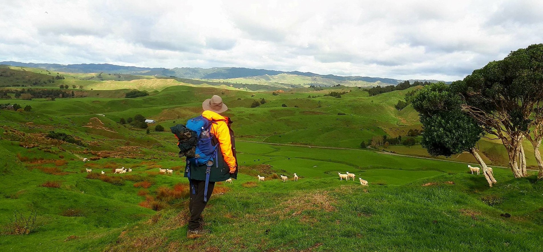 33992872_1548807731908607_6403125729516584960_n